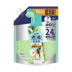 レノア煮沸レベル消臭抗菌ビーズSPORTSクールリフレッシュ＆シトラス詰替1040mL
