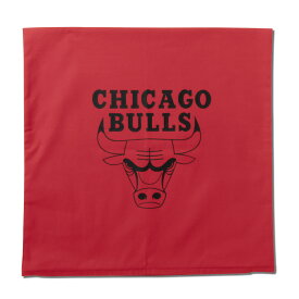 NBA x AKTR クッションカバー CUSHION COVER ロサンゼルス レイカーズ Los Angeles Lakers ボストン セルティックス Boston Celtics シカゴ ブルズ Chicago Bulls ニューヨーク ニックス New York Knicks アクター