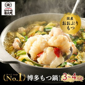【楽天1位★ZIPでも紹介】 楽天地 もつ鍋 3~4人用前 セット メガ盛り お取り寄せ 人気 博多 ふるさと納税 （冷凍） 【送料無料】【バナナマンせっかくグルメ！国民的女優がお代わり】博多でNO.1のもつ鍋専門店15店舗