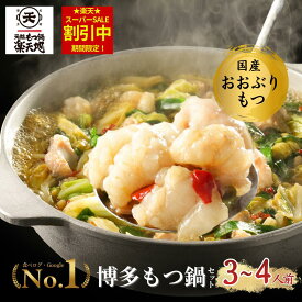 【楽天1位★ZIPでも紹介】 楽天地 もつ鍋 3~4人用前 セット メガ盛り お取り寄せ 人気 博多 ふるさと納税 （冷凍） 【送料無料】【バナナマンせっかくグルメ！国民的女優がお代わり】博多でNO.1のもつ鍋専門店15店舗