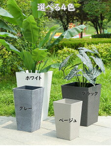 植木鉢 14号 プラスチック」の人気商品一覧 | 安い商品を通販サイト 