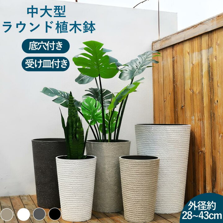 楽天市場】【レビュー特典】植木鉢 鉢植え ハイタイプ 大型 中型 
