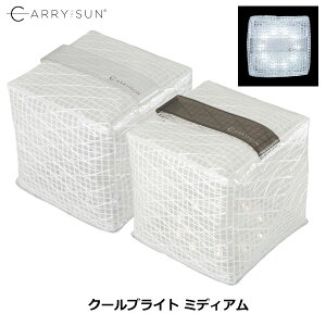��Carry The Sun(�L�����[�U�T��) �N�[���u���C�g �~�f�B�A��