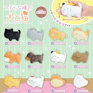 Ԃȓ̌ƔL ʂ݃}XRbgL[`F[ Ԃȓ  L 킢 ybg ObY L[z_[ ʂ }XRbg Ki K`K` vCY Mtg Ԋ 