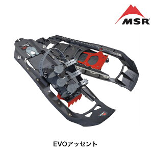 MSR GGXA[ EVOAbZg