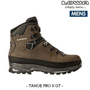 LOWA�i���[�o�[�j �^�z�[�v�� 2 GT