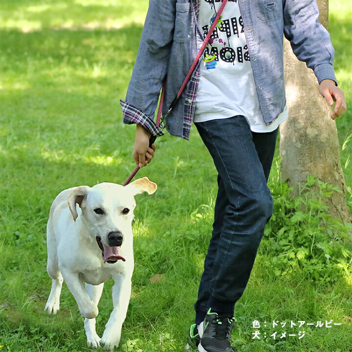 楽天市場 メール便送料無料 犬 肩掛け リード ショルダーリード ハンズフリー 中型犬 大型犬 丸ひも 斜め掛け 肩掛け 二頭引き 係留 ダブルリード ショートリード 短引き 多機能リードラロック フリースタイル丸リード Lサイズ 犬猫用品と雑貨 ラロックショップ
