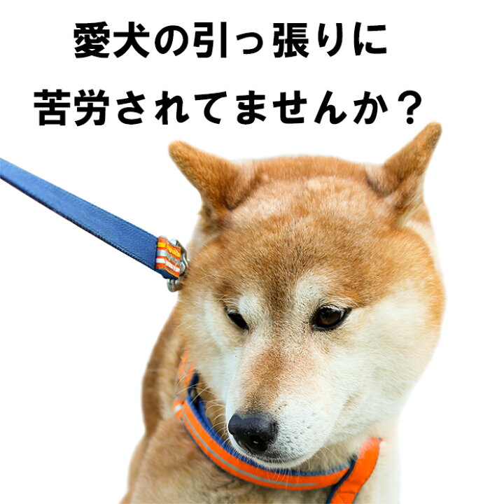 楽天市場 犬 ハーネス 引っ張り防止ハーネス 犬胴輪 リード Dvd付き しつけ用 きずなで訓練 犬の専門家キャロライン スペンサー考案 オールサイズ同価格 犬用品 メール便不可 ラロック ハッピーヒールハーネス 犬猫用品と雑貨 ラロックショップ 楽天市場 犬 ハーネス 引っ張り防止ハーネス 犬胴輪 リード Dvd付き しつけ用 きずなで訓練 犬の専門家キャロライン スペンサー考案 オールサイズ同価格 犬用品 メール便不可 ラロック ハッピーヒールハーネス 犬猫用品と雑貨 ラロックショップ