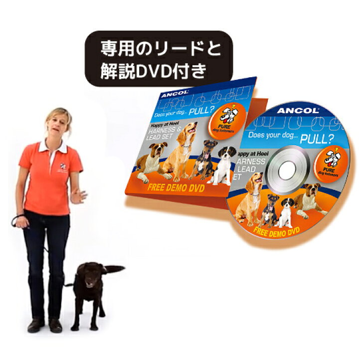 楽天市場 犬 引っ張り防止 ハーネス 胴輪 リード付き Dvd付き しつけ 躾け 訓練 イギリス 犬の専門家 キャロライン スペンサー考案 小型犬 中型 犬 大型犬 超大型犬 絆 きずなで訓練ラロック ハッピーヒールハーネス S M L Xl 犬猫用品と雑貨 ラロックショップ