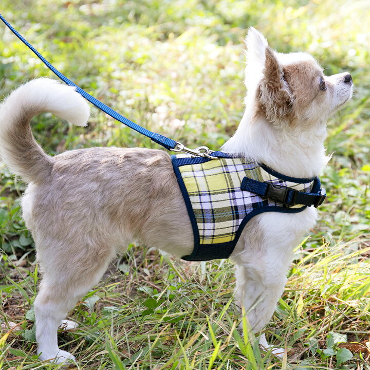 楽天市場】【メール便送料無料】犬 ハーネス 胴輪 小型犬 抜けない 足を通さない 簡単装着 負担が少ない ソフト素材 ファッション おしゃれ かわいい チワワ トイプードル ミニチュアダックスに最適ラロック シンプルベストハーネス チェック : 犬猫用品と雑貨 ラロック ... 楽天市場】【メール便送料無料】犬 ハーネス 胴輪 小型犬 抜けない 足を通さない 簡単装着 負担が少ない ソフト素材 ファッション おしゃれ かわいい チワワ トイプードル ミニチュアダックスに最適ラロック シンプルベストハーネス チェック : 犬猫用品と雑貨 ラロック ...