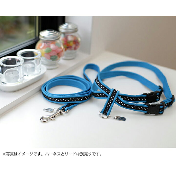 762円 【再入荷】 アミット ツービーハーネス Lサイズ 色:108 フォークロア 762円 【再入荷】 アミット ツービーハーネス Lサイズ 色:108 フォークロア