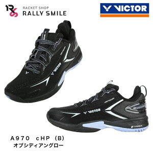 �y�r�N�^�[�o�h�~���g���V���[�Y�z�@VICTOR�@�r�N�^�[�@A970cHP�@3E�@�I�u�V�f�B�A���O���[