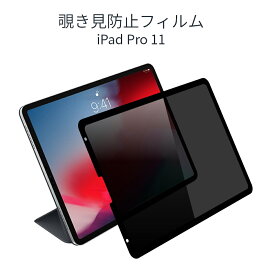 LOE(ロエ) iPad Pro 11 覗き見防止 フィルム ブルーライトカット 繰り返し貼れるフィルター (横向きタイプ)