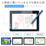 20% OFF 3/11 01:59まで/LOE(ロエ) チャレンジパッド 保護フィルム ブルーライト カット 対応 紙に書いて…