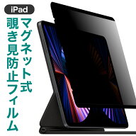LOE(ロエ) iPad 保護フィルム マグネット式 覗き見防止 180度 iPad Air13インチ Air11インチ M2 Pro11 Pr…