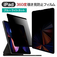 20% OFF 3/11 01:59まで/LOE(ロエ) 360度 マグネット式 覗き見防止フィルム iPad Air13インチ Air11イン…