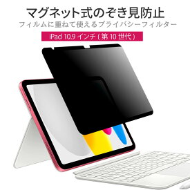 10% OFF 6/11 01:59まで/LOE(ロエ) iPad 第10世代 (2022) マグネット式 覗き見防止 フィルター 簡単装着 繰り返し貼れる フィルム 反射防止 横向きタイプ