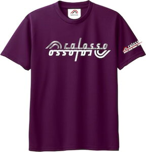 【ミラープラクティスTシャツ】ralosso ラロッソ プラクティスシャツ ゲームシャツ ハーフパンツ スコート テニス テニスウェア 練習着 部活 テニス部 レディース 女子連 ジュニア プロ 速乾