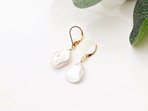 Ԃт PVp[i^j̃o[obNsAX CO@6a΁@925Vo[@p[Xg[@nhCh I[_[