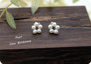 Wp[ t[̃X^bhsAX@^@6a΁@nhCh 14kgf S[htBh RALULU.SHU