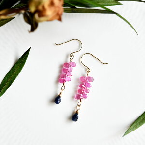 JX}A^A^Ȃǂ߂ 10 K10 sNTt@CAƃu[Tt@CÃsAX@9a nhCh RALULU.SHU