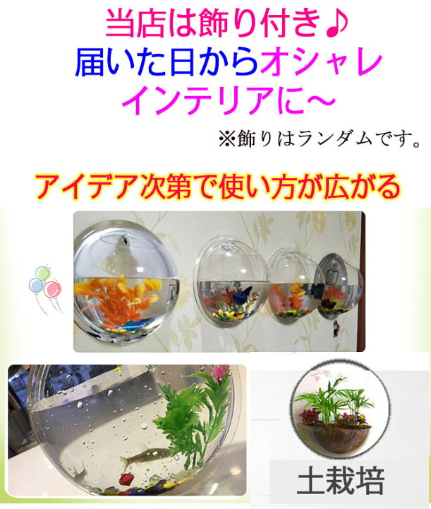 楽天市場 壁掛け 金魚鉢 壁掛け植物 栽培 花瓶 盆栽 水槽 鉢植え 植木鉢 プランター 送料無料 観葉植物 栽培 プランツ 壁に掛ける インテリア Ram180度