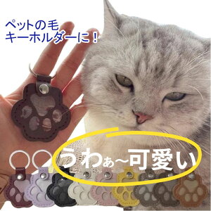 L Ƃꏏ ybg ѓ ybg   ybg  P[X ybg AObY {v L[O ybg  уP[X ybg  ybg  A ybg