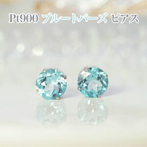 PT900 u[gp[Y 8mm sAX@v`iVR_ubNLb`tEfB[XWG[Ev[gEiۏ؏tEWG[P[XtELOE11a