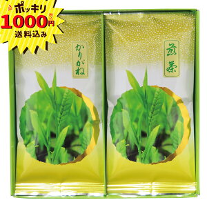 y1000~|bL zFlŷEbsOEbZ[WJ[hzăMtg @A@v`Mtg@(Mtg@o@o@Cj@@j