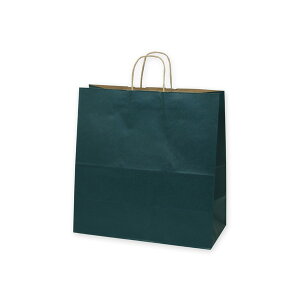 �J���[�o�b�OL45