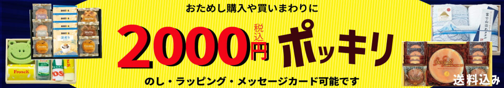 2000円ポッキリ送料無料