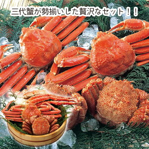 y[J[zVEkCIÂ200(Mtg@o@o@Cj@@j@Ԃ@z@A@TԂ@Ε@j@@񂹁@yY@a@