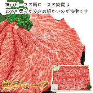 y[J[z_˃r[tĂi[Xj(Mtg@o@o@Cj@@j@Ԃ@z@A@TԂ@Ε@j@@񂹁@