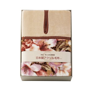 {ANj[}C[ѕziщHj(Mtg@o@o@Cj@@j@Ԃ@z@A@TԂ)