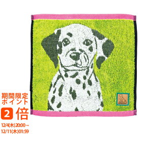 _ts[X uACY L[^I _VA(Mtg@v[g@j@j@Ԃ@A@a@oYj@Ɓ@@Aj}vg@@񂿂