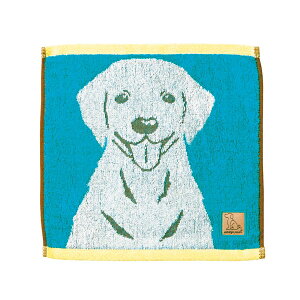 _ts[X uACY L[^I uh[Ego[(Mtg@v[g@j@j@Ԃ@A@a@oYj@Ɓ@@Aj}vg@