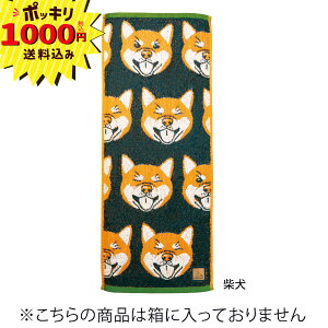 y1000~|bL z_ts[X uACY XLj[^I Č(j j 䈥A Cj Vz  oY a Mtg v[g D  킢 R 񂿂