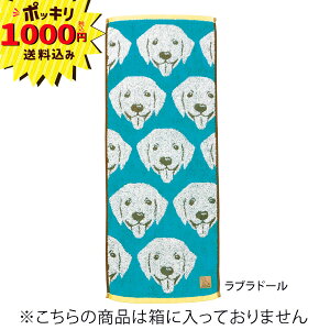 y1000~|bL z_ts[X uACY XLj[^I uh[Ego[(j j 䈥A Cj Vz  oY a D  킢 R 