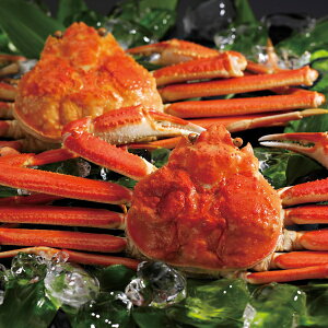 �y���[�J�[�����z�{�C�����킢���Ɏp2��(�M�t�g�@�����o���@���o���@���C�j���@�������@���j���@���Ԃ��@���z���@�����A�@���T�Ԃ�)