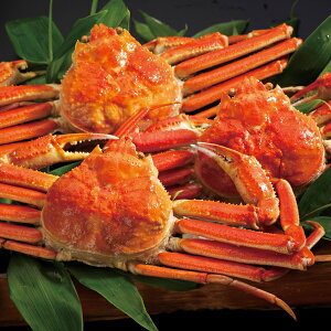 �y���[�J�[�����z�{�C�����킢���Ɏp3��(�M�t�g�@�@���C�j���@�@���j���@���Ԃ��@���z���@�����A�@���T�Ԃ��@���킢���Ɂ@�{�C�����킢����)