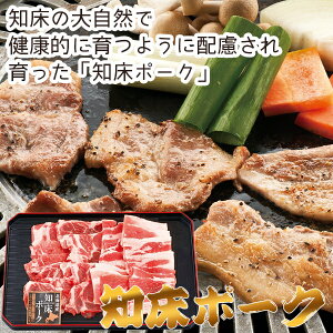 y[J[zm|[N ēZbg400g(Mtg@o@o@Cj@@j@Ԃ@z@A@TԂ)