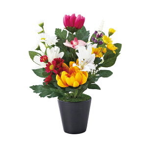 y[J[ kCEEʓrzSCG}H ԁmniA[eBtBVt[j