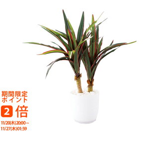 y[J[ kCEEʓrzSCG}H ~jϗt ~jbJitFCNO[j(Mtg@o@o@Cj@@j@Ԃ@z@A@