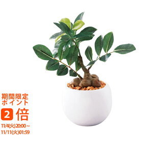 y[J[ kCEEʓrzSCG}H ~jϗt KW}itFCNO[j(Mtg@o@o@Cj@@j@Ԃ@z@A@