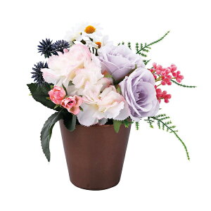 y[J[ kCEEʓrzSCG}H A[eBtBVt[ a p[v(Mtg@o@o@Cj@@j@Ԃ@z@A