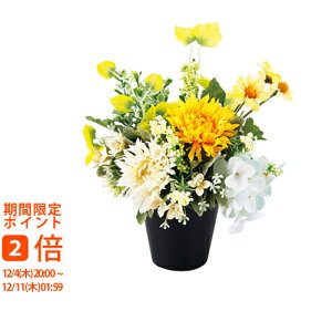 y[J[ kCEEʓrzSCG}H A[eBtBVt[ r CG[(Mtg@o@o@Cj@@j@Ԃ@z@A