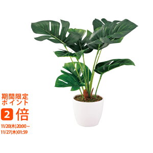 y[J[ kCEEʓrzSCG}H ~jϗt XeitFCNO[j(Mtg@o@o@Cj@@j@Ԃ@z@A@