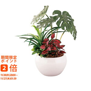 y[J[ kCEEʓrzSCG}H gsJ񂹐A|bgXeitFCNO[j(Mtg@o@o@Cj@@j@Ԃ@