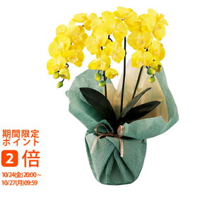 y[J[ kCEEʓrzSCG}H ~jӒO{iA[eBtBVt[j CG[(Mtg@o@o@Cj@@j@Ԃ@