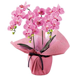 y[J[ kCEEʓrzSCG}H ~jӒO{iA[eBtBVt[j tbVsN(Mtg@o@o@Cj@@j@